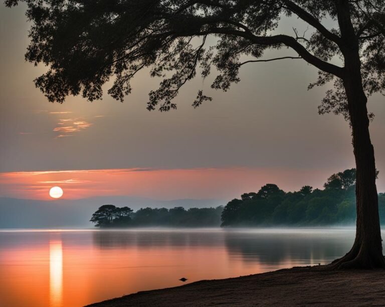 QUELLE EST LA DIFF RENCE ENTRE LE MATIN ET CE MATIN visual data 5